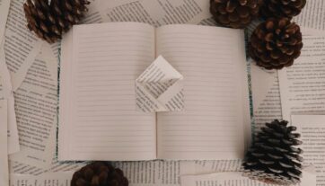 Les essentiels de l'automne